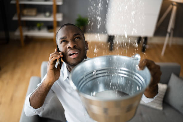 Best 24-hour water damage restoration  in Honeygo, MD