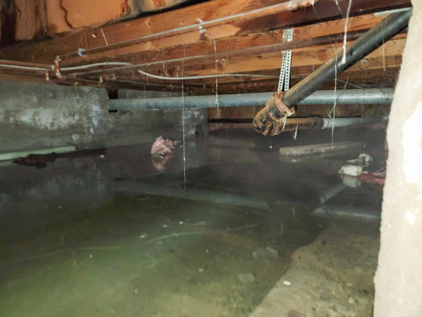 Sewage cleanup and water damage restoration in Honeygo, MD