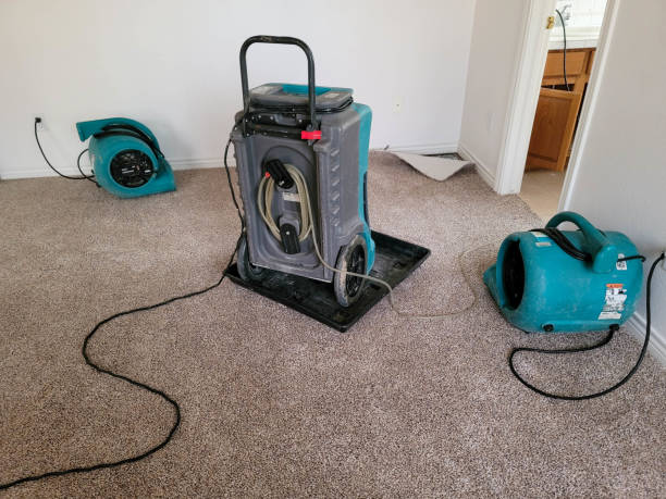 Best Water damage cleanup near me  in Honeygo, MD