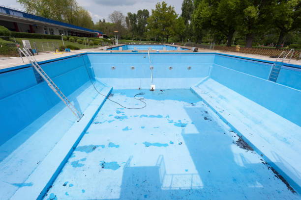 Best Carpet water damage restoration  in Honeygo, MD