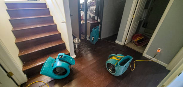 Best Local water damage restoration  in Honeygo, MD