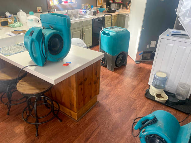Best Sewage cleanup and water damage restoration  in Honeygo, MD