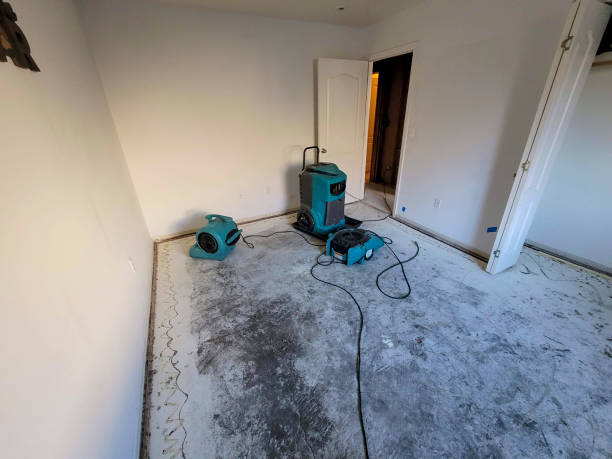 Best 24-hour water damage restoration  in Honeygo, MD