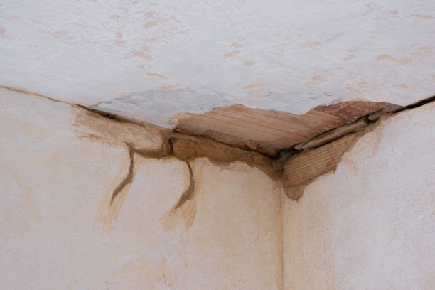 Best Water damage restoration near me  in Honeygo, MD