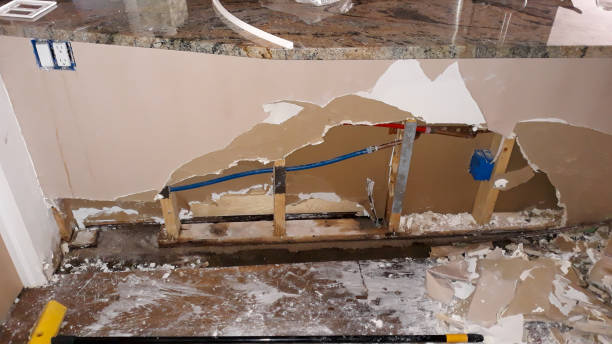 Best Flooded house restoration  in Honeygo, MD