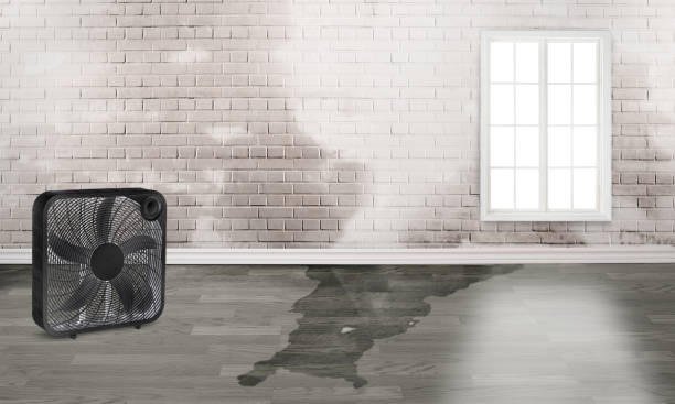 Best Fire Damage Restoration  in Honeygo, MD