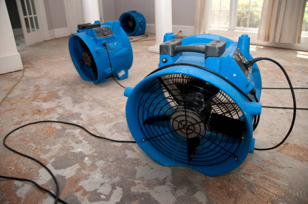 Best Flooded house restoration  in Honeygo, MD