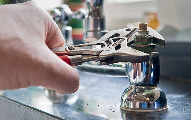 Best Flood restoration services  in Honeygo, MD