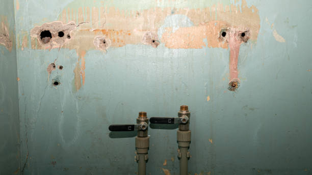 Best Water damage contractors near me  in Honeygo, MD