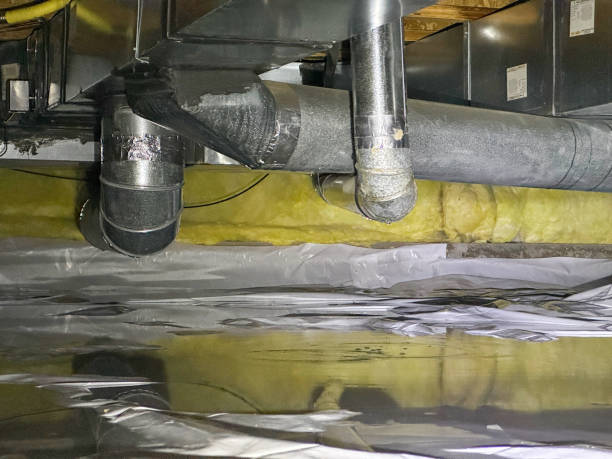 Best Fire Damage Restoration  in Honeygo, MD