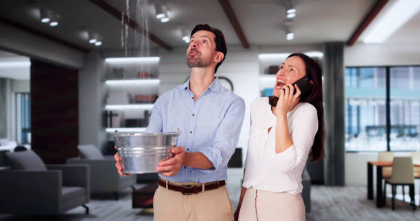 Best Ceiling water damage repair  in Honeygo, MD